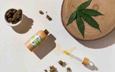 Les sites incontournables pour découvrir le cbd en France en 2025 
